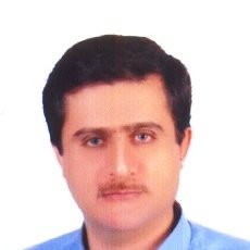 Reza Khamisipour Email