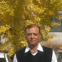 VINIR Engineering Limited Employee Deepak Kacker's profile photo