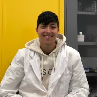Lion Labs, LTD Employee Mandi Luis's profile photo