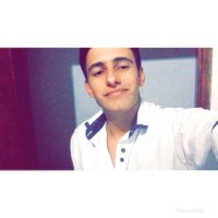 Pedro Martins's profile photo