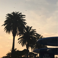 Simcentric Solutions Limited Employee Jasmine Xie's profile photo