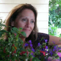Sharon Knapp Email & Phone Number