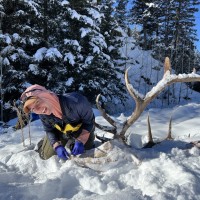 University of Vermont Rubenstein School of Environment and Natural Resources Employee Julia Daniell's profile photo