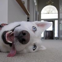 OAW Employee Phi Thien's profile photo