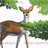 Freelance Illustrator, self employed Employee Kyoko Nemoto's profile photo