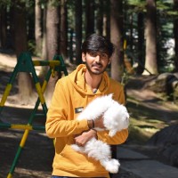 Einstellen.ai Employee Aman Saxena's profile photo