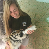 Tiger World Employee Kendall Sweeney's profile photo