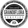 Grandiflora Genetics Employee Mark McCafferty's profile photo