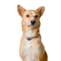 Axiom Security Employee Bana T.'s profile photo