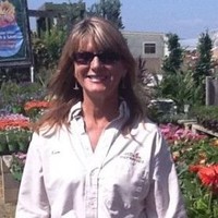 Village Nurseries Employee Kimberly Sterling's profile photo