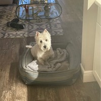 Radiology Regional Center Employee Jerry Johnson's profile photo