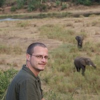 Bazinga Employee Michal Hamšík's profile photo