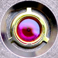 Daniel Kuntz Email & Phone Number