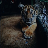 Social Media Marketing Employee Brett Pendleton's profile photo