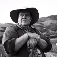 Mark Wardle's profile photo