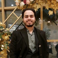 Aly Hussein Email