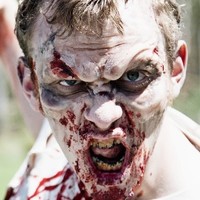 Zombie Acres