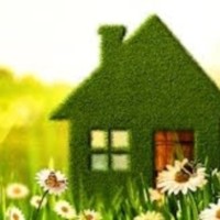 Darla Mayfield Email & Phone Number