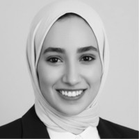 Wafaa Shahien Email
