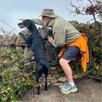 Tom McLaughlan Email & Phone Number