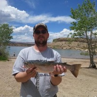 Quality Tire Company Employee Steve Butterfield's profile photo