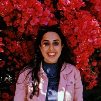 Zari'Aat Masood Email