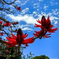 Arm China Employee Chengkun S's profile photo