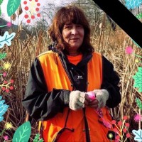 Liberty Environmental Employee Teresa Amitrone's profile photo