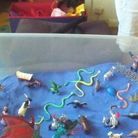 Brandon Martin Email & Phone Number