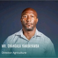 Hello Tractor Employee Changala Yambayamba's profile photo
