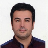 LIVA power management systems Employee Mohammad Alipour's profile photo