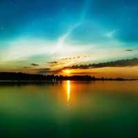 Carrie Treat Email & Phone Number