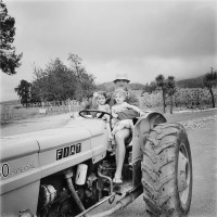 The Dutoit Group Employee Johannes Burger's profile photo