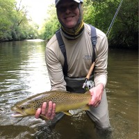 Amwins Group Employee Anthony Morgan's profile photo
