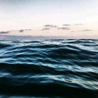 Molon Excavating, Inc. Employee Isabelle Parker's profile photo