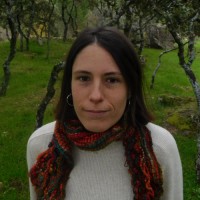 Ana Arbós Email