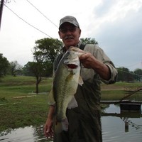 David Guild Email & Phone Number