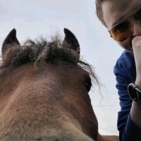 SearchAmerica, Inc. Employee Bradlee Martin's profile photo