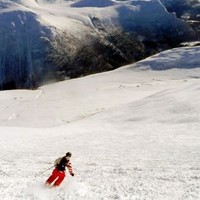 Kripos Employee Tom Erlandsen's profile photo