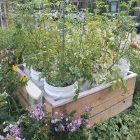 The Alnwick Garden Employee Pete Schneider's profile photo