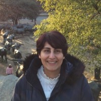 SYGNAMAP Employee Leila Hejazi's profile photo