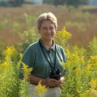 Barbara Brummer Email & Phone Number