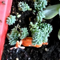 Vsource Employee Vân Anh's profile photo