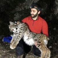 ELARD Employee Deniz Mengüllüoğlu's profile photo