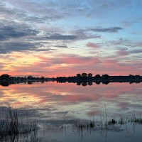 Scandinavian Spaces Employee Phillip Boye's profile photo