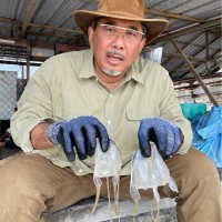 Alternative Law Journal Employee Iekhsan Othman's profile photo