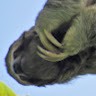 NA Employee Amy Edwards's profile photo