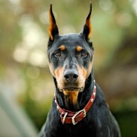 World's Leaders Magazine Employee Alex Gonzalez's profile photo