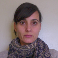 Red Cedar Consultancy, LLC Employee Shlomit Bitton's profile photo
