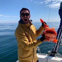 Freedom Finance Employee Dmitry Bogdanov's profile photo